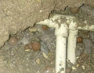 金塔卫生间测漏